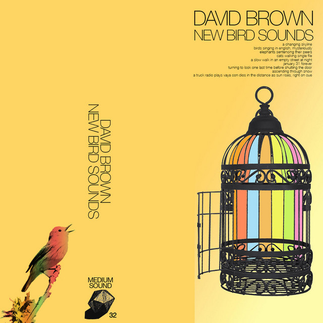 New Bird Sounds cover art