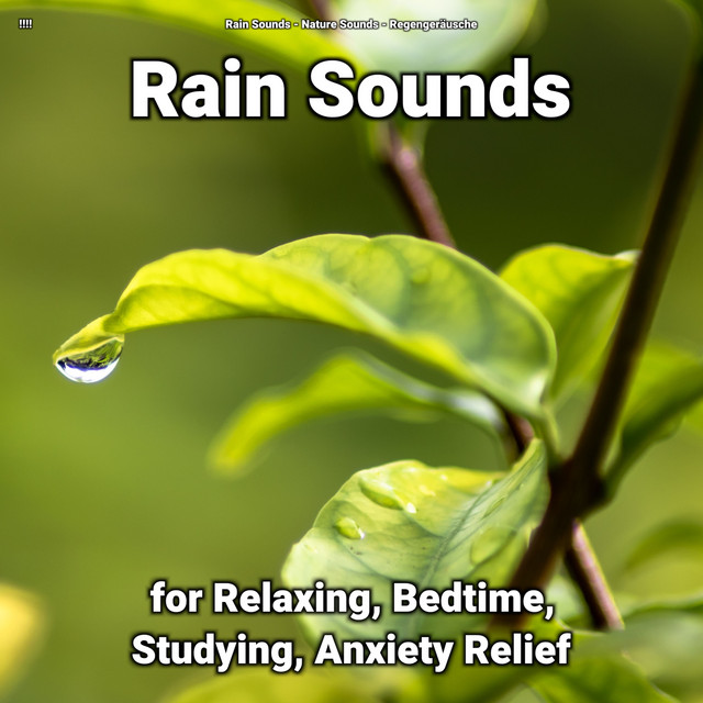!!!! Rain Sounds for Relaxing, Bedtime, Studying, Anxiety Relief cover art