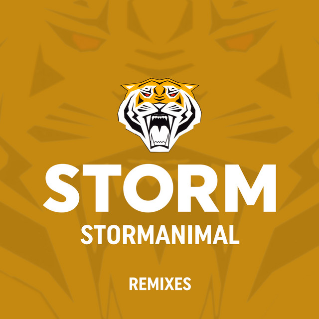 Stormanimal - Ferruccio Tebaldi Remix album art