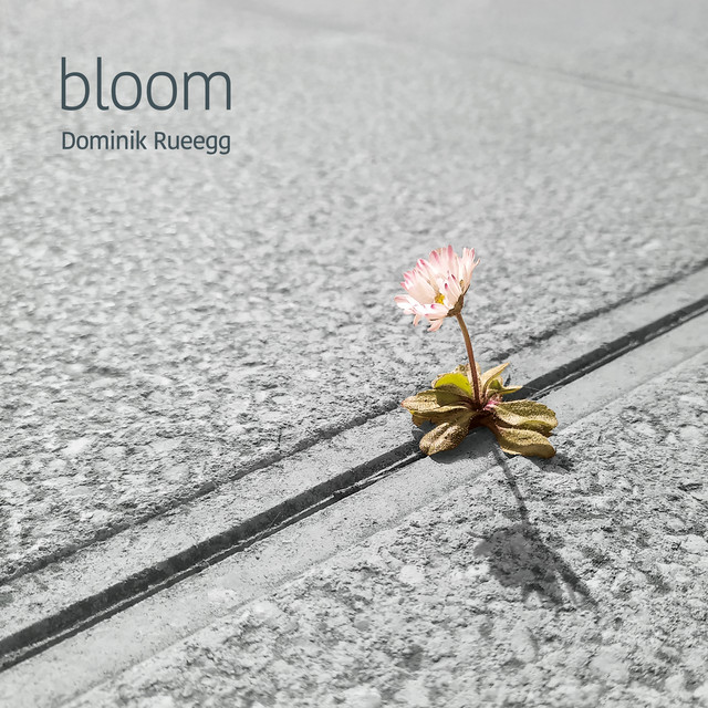 Bloom