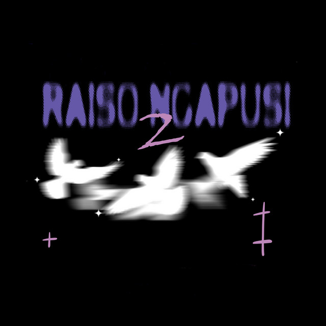 Cover of Raiso Ngapusi 2 by Tekomlaku