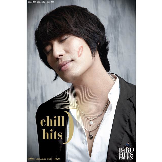 BIRD HITS FOR FAN : chill hits cover art
