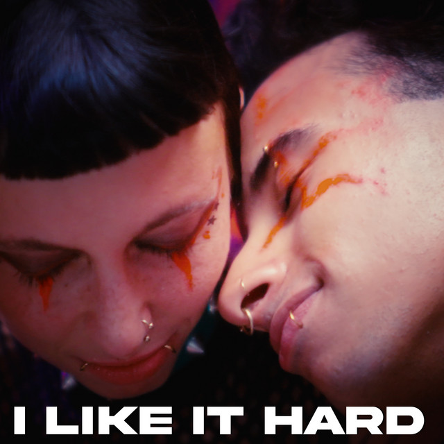 Cover du titre I Like it Hard
