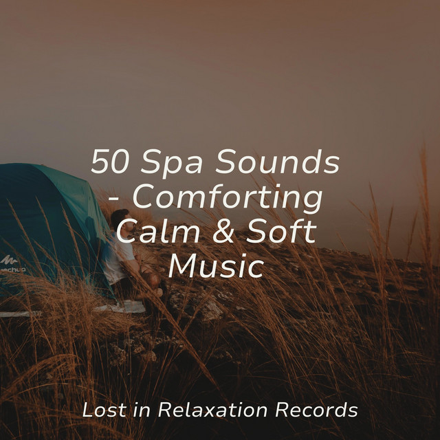 50 Spa Sounds - Comforting Calm & Soft Music - Album by Forest Sounds ...