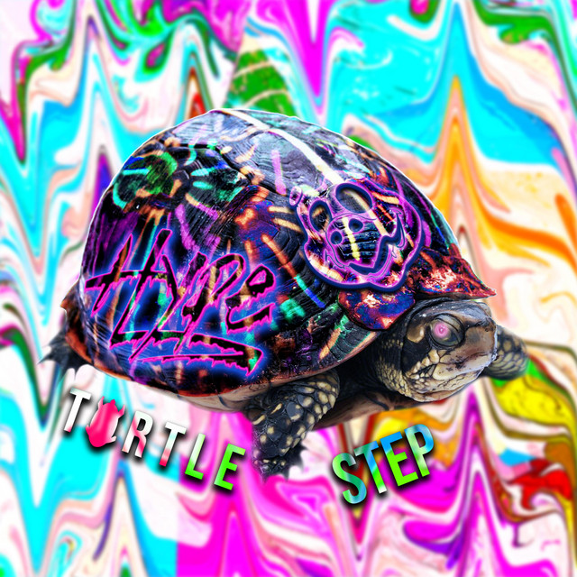 Turtle Step cover art