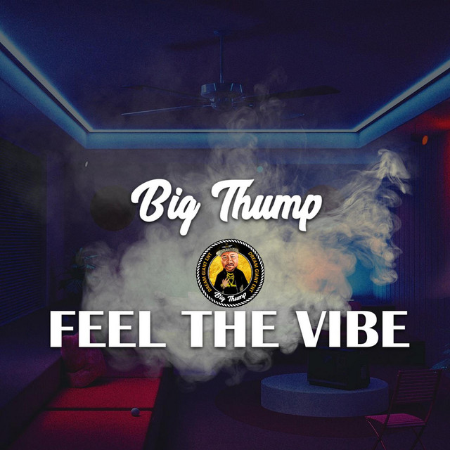 Feel The Vibe