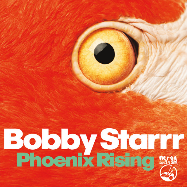 Phoenix Rising cover art