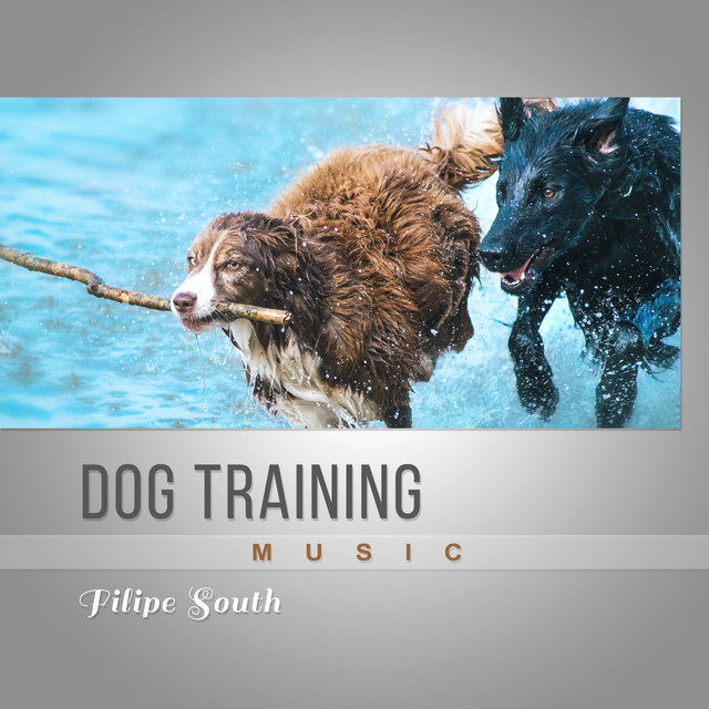 Motivation Song - song and lyrics by Frank South | Spotify