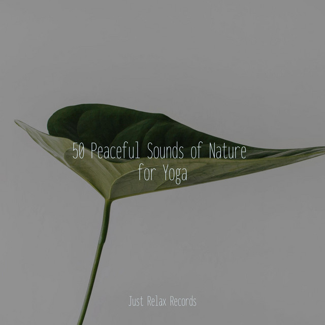 50 Peaceful Sounds of Nature for Yoga - Album by Binaural Beats ...