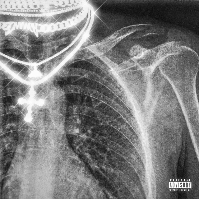 Beautiful Disaster album image