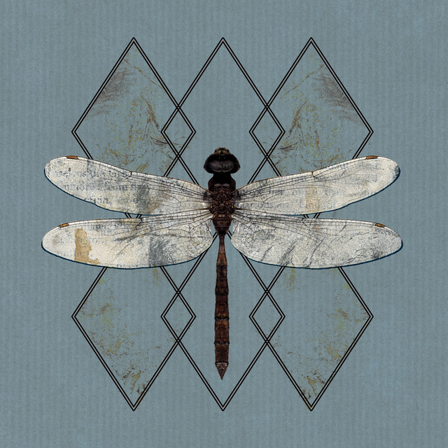 Alive cover