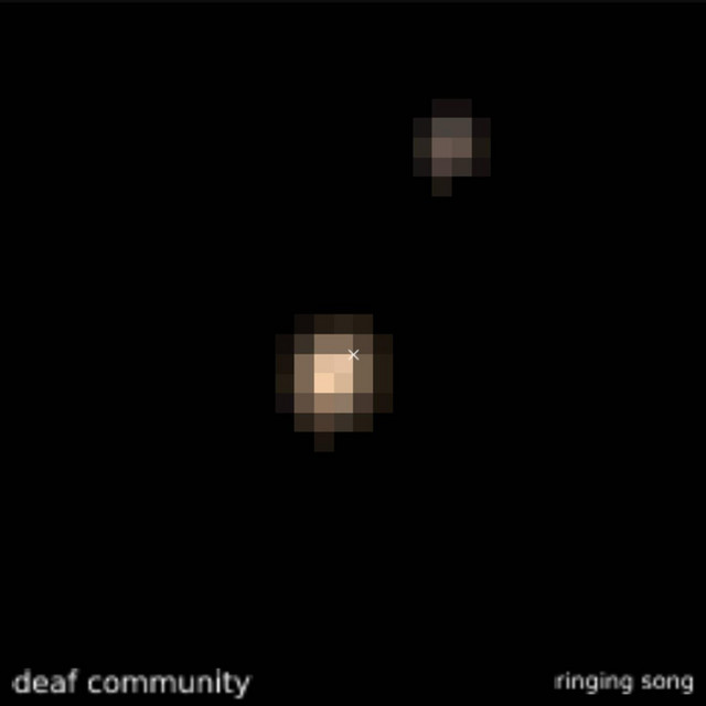 D-Community Photo