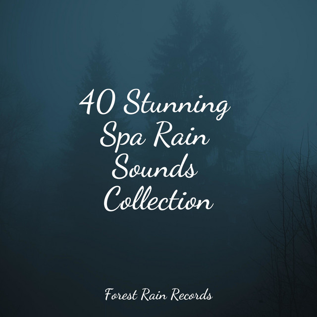 40 Stunning Spa Rain Sounds Collection cover art