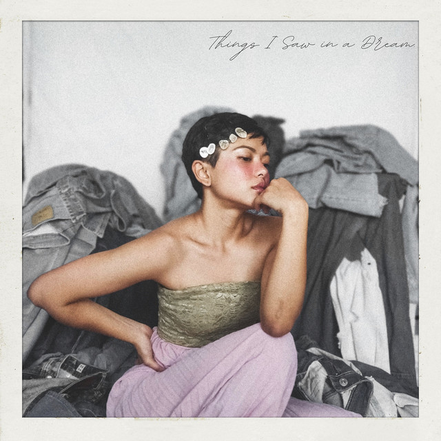 Things I Saw in a Dream cover
