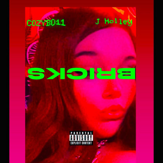 COZYBO11