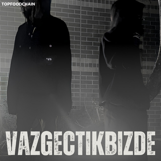 vazgeçtik bizde cover art