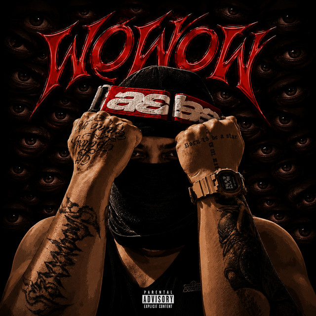 WOWOW cover