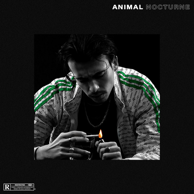 Animal Nocturne cover art