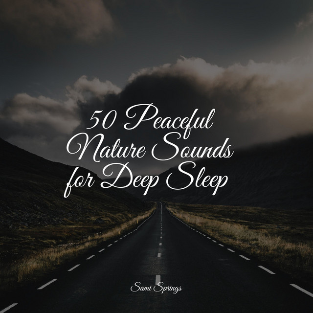 50 Peaceful Nature Sounds for Deep Sleep - Album by Baby Sweet Dream ...