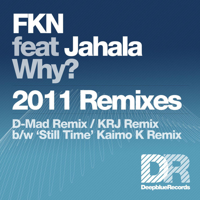 Why? - K.R.J Dub cover art