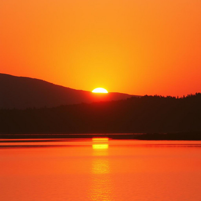 Crimson & Gold