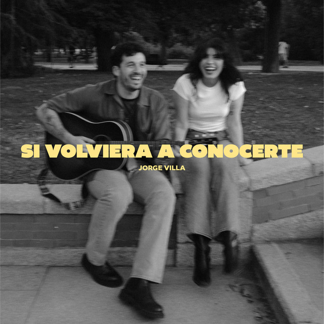 Si volviera a conocerte cover art