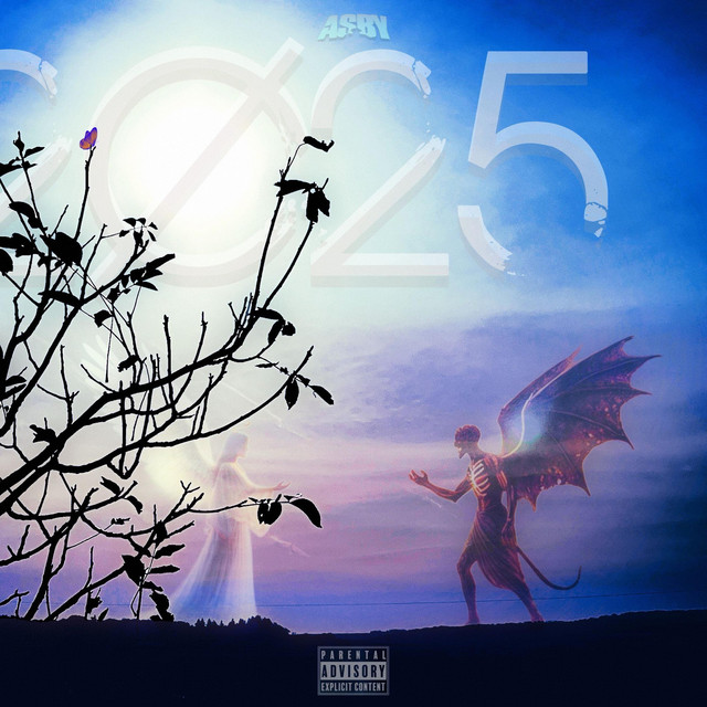 2Ø25