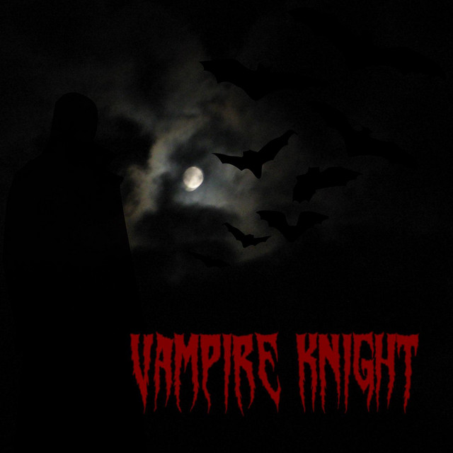 Vampire Knight cover