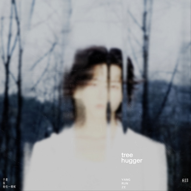 于是我抱住一棵树 cover art