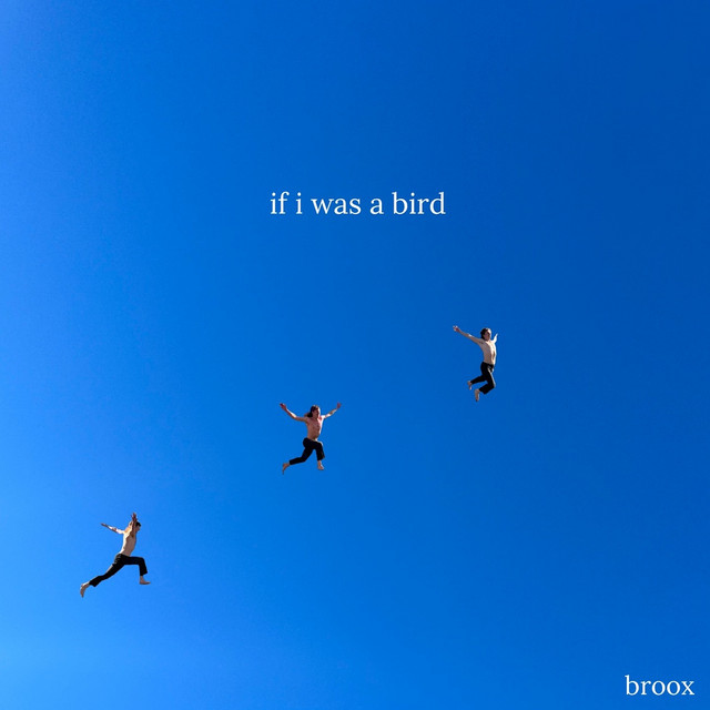 If I Was a Bird artwork