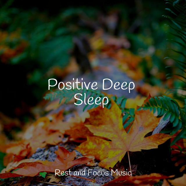 Positive Deep Sleep - Album by Deep Relaxation Meditation Academy | Spotify