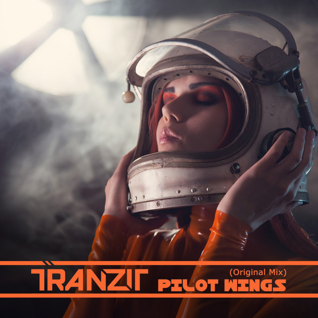 Pilot Wings cover