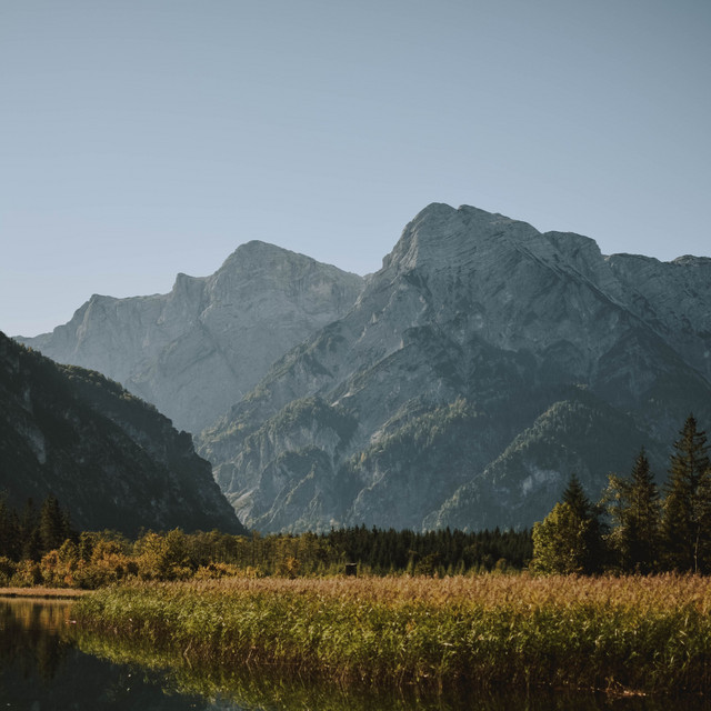 Calming Melodies | Mindful Living cover art
