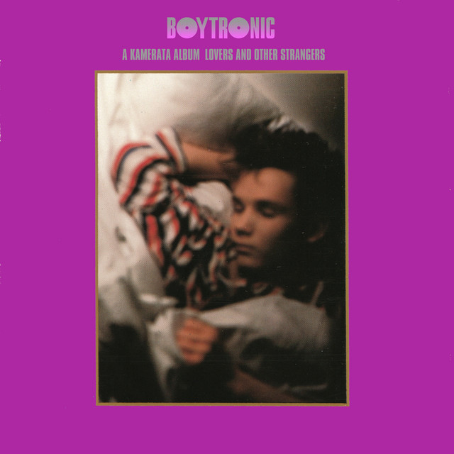 A Kamerata Album: Lovers and Other Strangers cover art