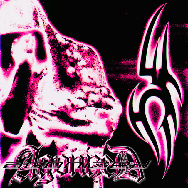Void cover art