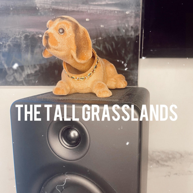 THE TALL GRASSLANDS cover art