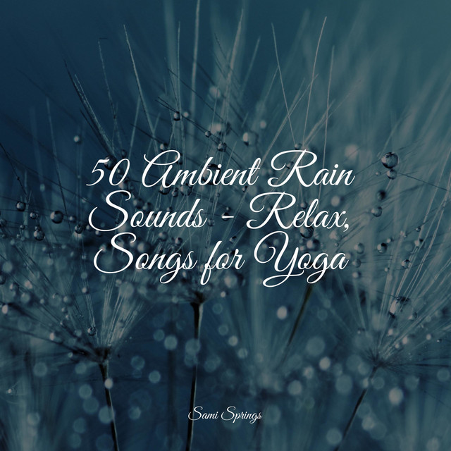 50 Ambient Rain Sounds - Relax, Songs for Yoga - Album by Natureza ...