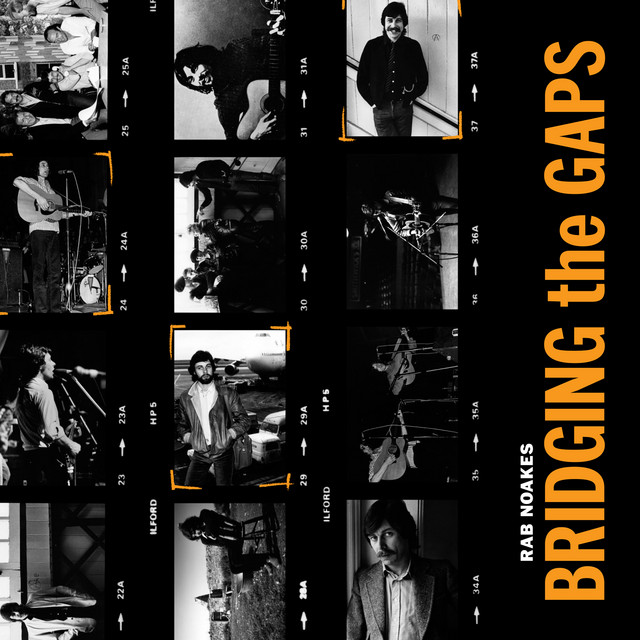 Bridging the Gaps cover art