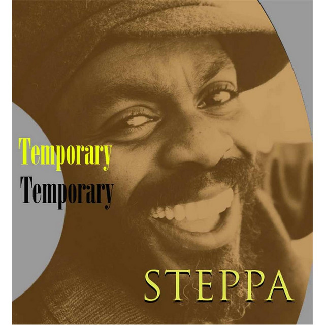 Temporary - Single by Steppa | Spotify