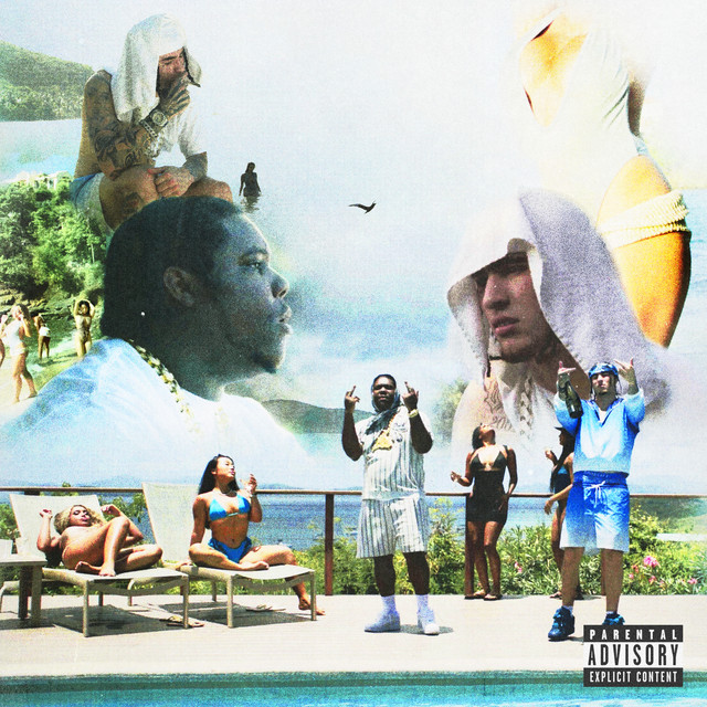 LIVIN cover art