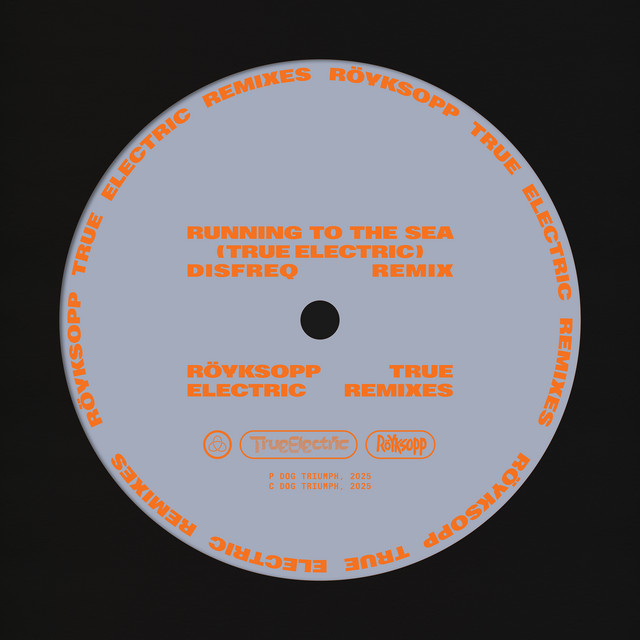 Running To The Sea - Disfreq Remix