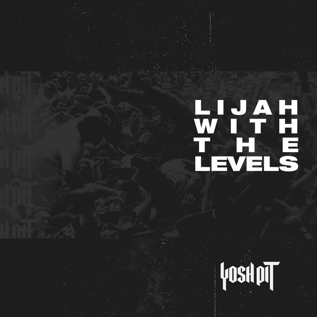 With the Levels cover art