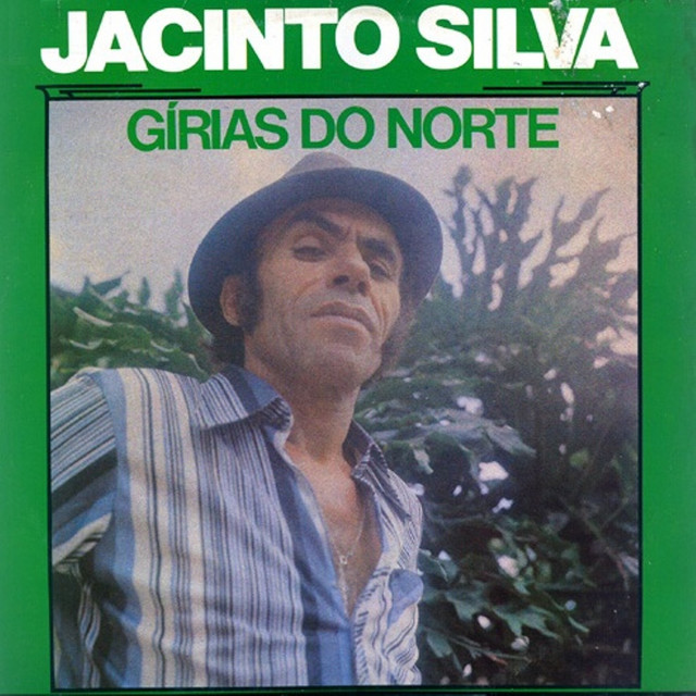 Gírias do Norte cover art