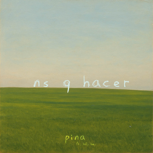 ns q hacer