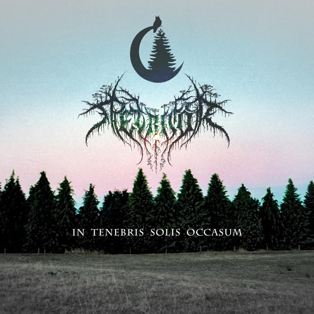 In Tenebris Solis Occasum cover art