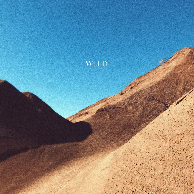 Wild cover art