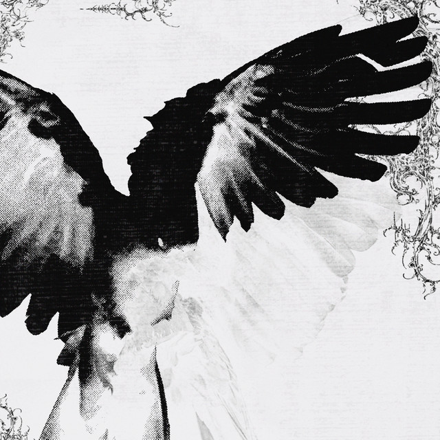 cockatoo album image
