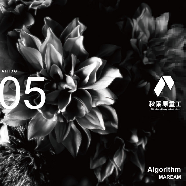 Algorithm cover art