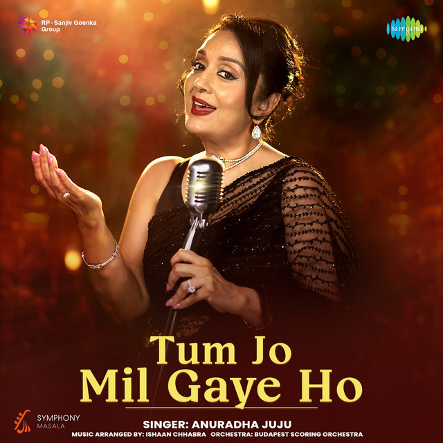 Symphony Masala - Tum Jo Mil Gaye Ho