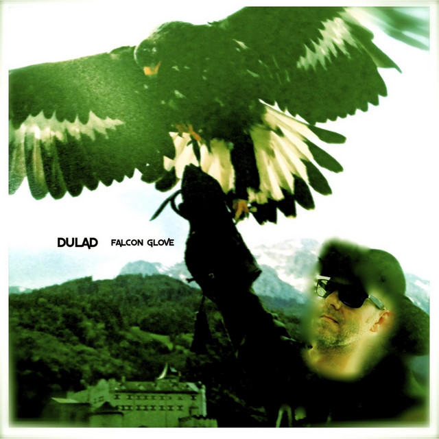 Falcon Glove cover art